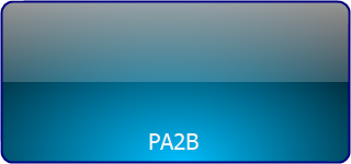 PA2B